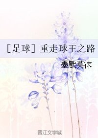 （足球同人）［足球］重走球王之路
